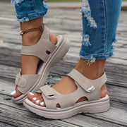 Kaki