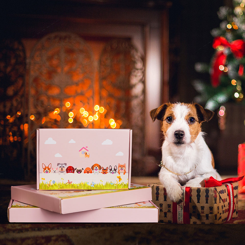 Australian Shepherd Planter Pot