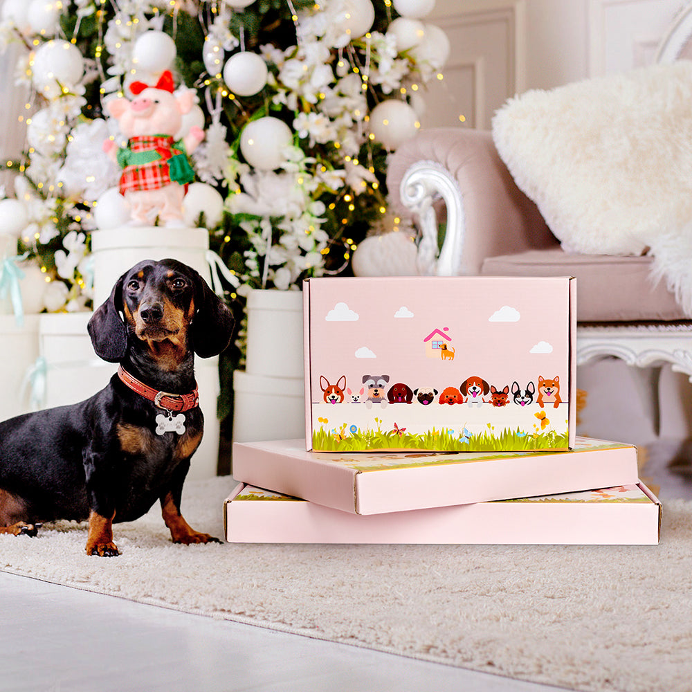 Dobermann Pinscher Flower Pot