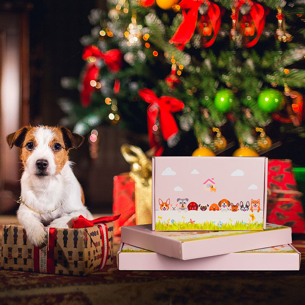 Bengal Cat Flower Pot